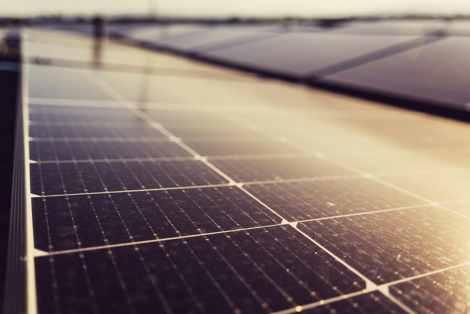 Eurener monocrystalline solar panels installed on roof